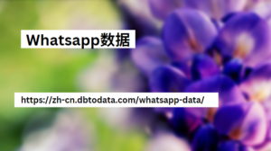 Whatsapp数据